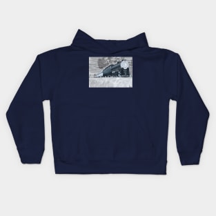 Gray Train Kids Hoodie